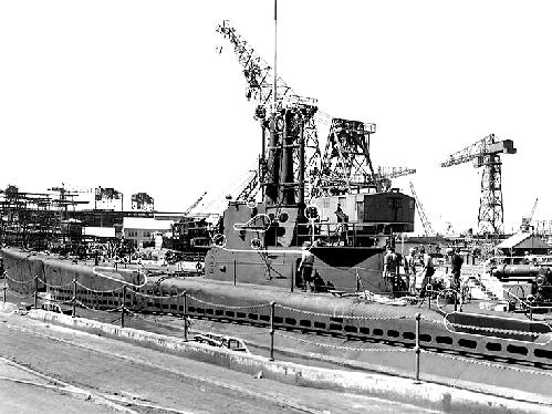 USS Salmon