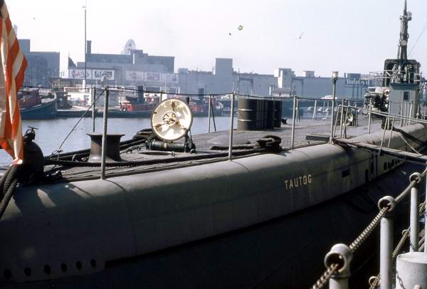 Tautog pierside 1959