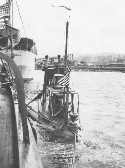 Grampus or Pike on the Willipa River, Washington State